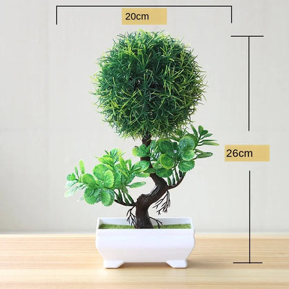 Mini-Bonsai-Pflanzgefäße für drinnen