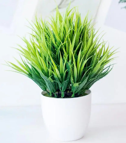 Mini-Bonsai-Pflanzgefäße für drinnen