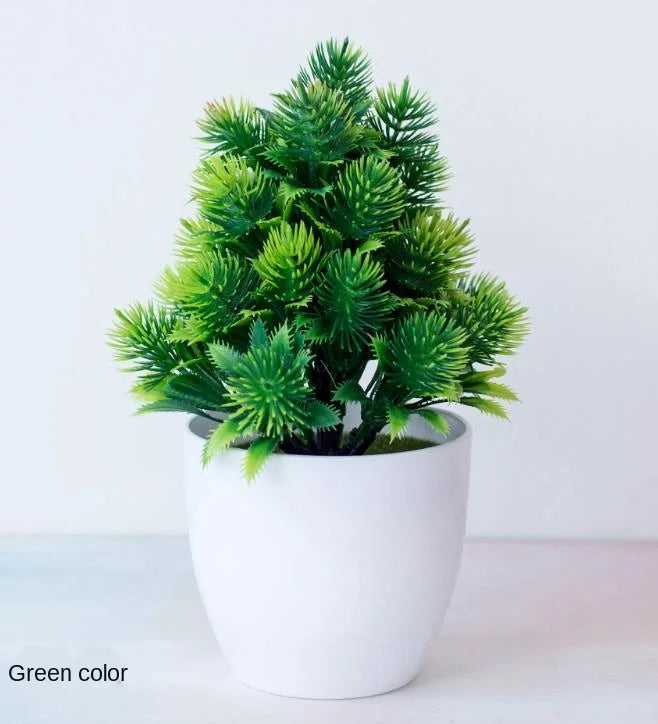 Mini-Bonsai-Pflanzgefäße für drinnen