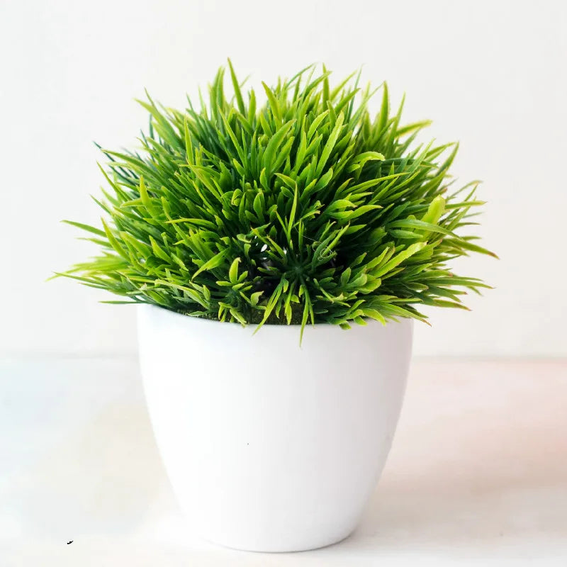 Mini-Bonsai-Pflanzgefäße für drinnen