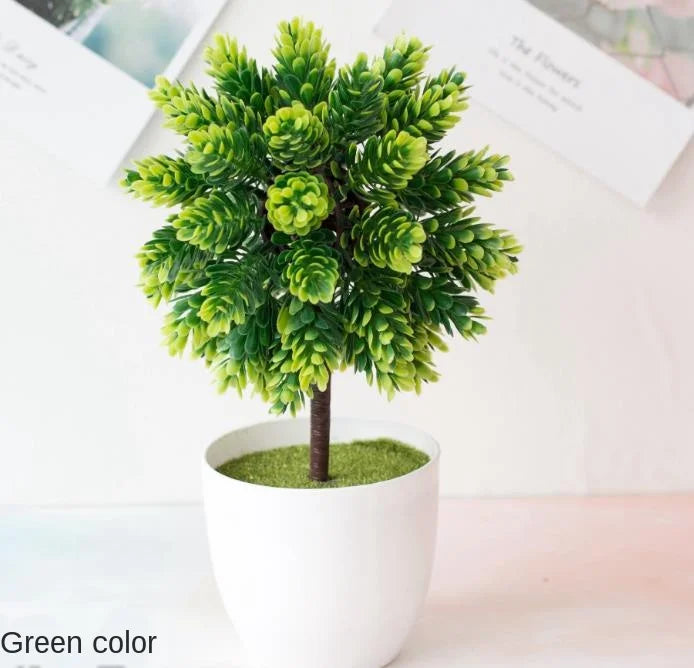 Mini-Bonsai-Pflanzgefäße für drinnen