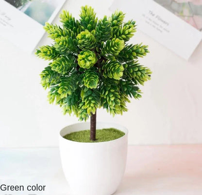 Mini-Bonsai-Pflanzgefäße für drinnen