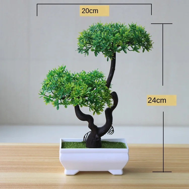 Mini-Bonsai-Pflanzgefäße für drinnen