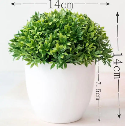 Mini Indoor Bonsai Tree Planters - Halri