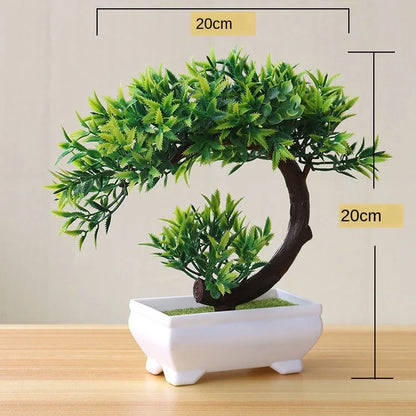 Mini-Bonsai-Pflanzgefäße für drinnen