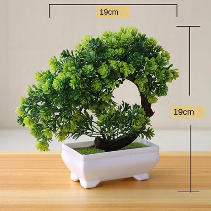 Mini-Bonsai-Pflanzgefäße für drinnen