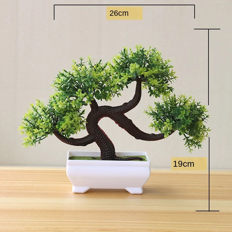 Mini-Bonsai-Pflanzgefäße für drinnen