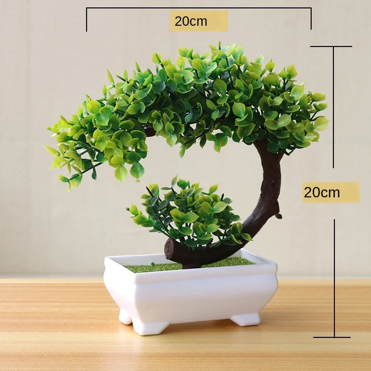 Mini-Bonsai-Pflanzgefäße für drinnen