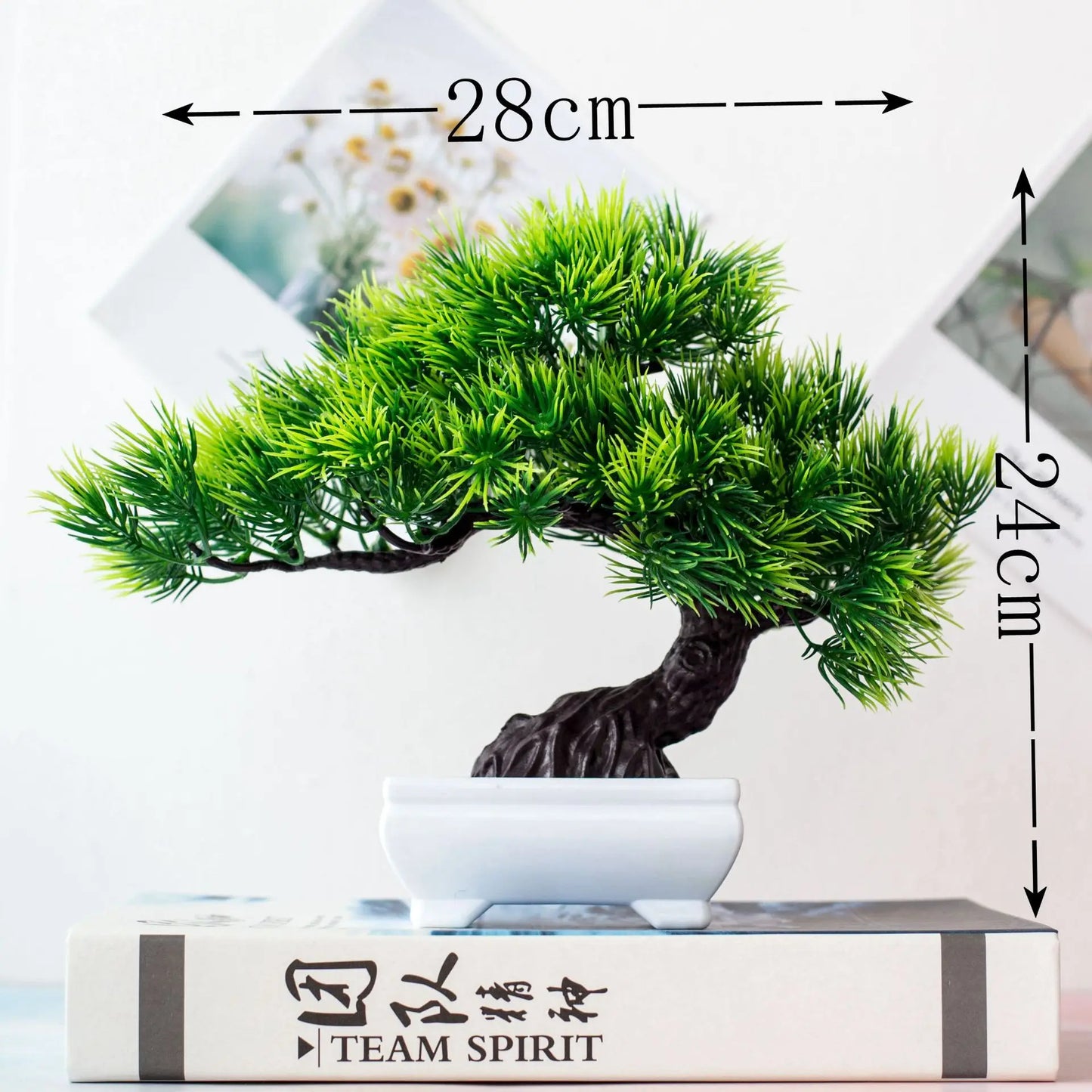 Mini-Bonsai-Pflanzgefäße für drinnen