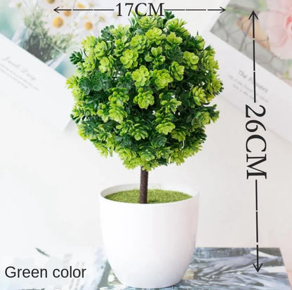 Mini-Bonsai-Pflanzgefäße für drinnen