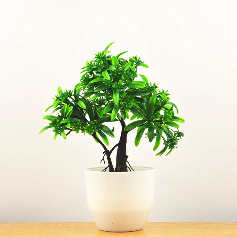 Mini-Bonsai-Pflanzgefäße für drinnen