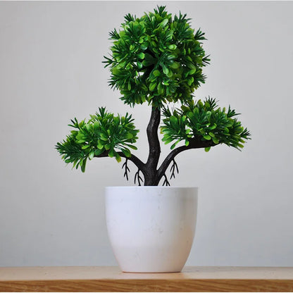 Mini-Bonsai-Pflanzgefäße für drinnen