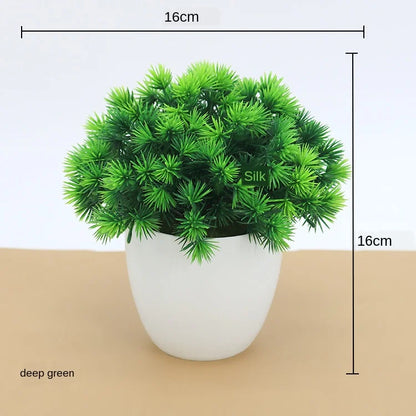Mini-Bonsai-Pflanzgefäße für drinnen