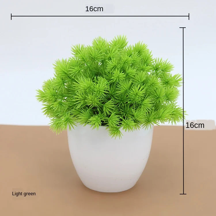 Mini-Bonsai-Pflanzgefäße für drinnen