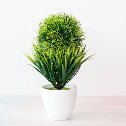 Mini-Bonsai-Pflanzgefäße für drinnen