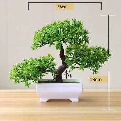 Mini-Bonsai-Pflanzgefäße für drinnen