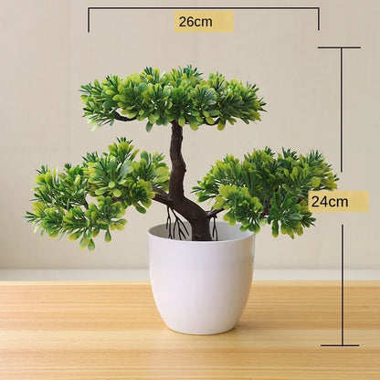Mini-Bonsai-Pflanzgefäße für drinnen