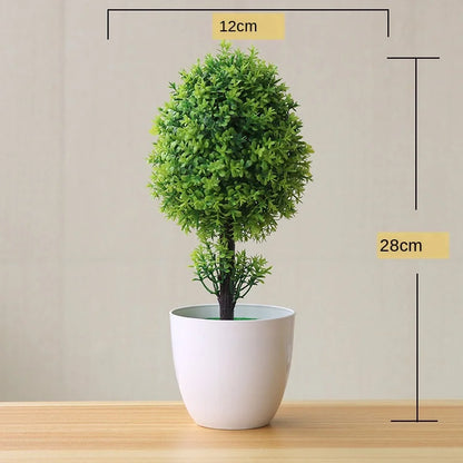 Mini-Bonsai-Pflanzgefäße für drinnen