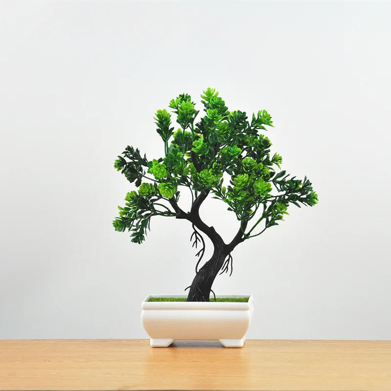 Mini-Bonsai-Pflanzgefäße für drinnen