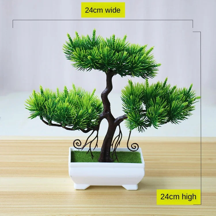 Mini-Bonsai-Pflanzgefäße für drinnen