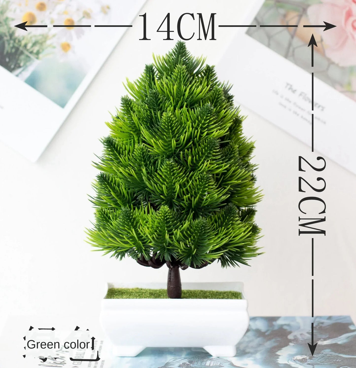 Mini-Bonsai-Pflanzgefäße für drinnen