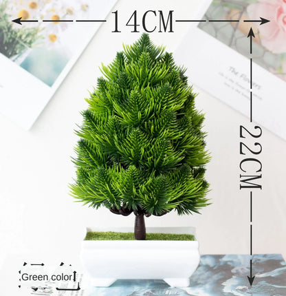 Mini-Bonsai-Pflanzgefäße für drinnen