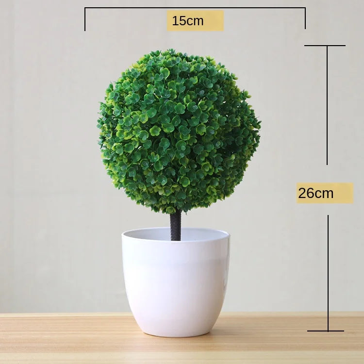 Mini-Bonsai-Pflanzgefäße für drinnen