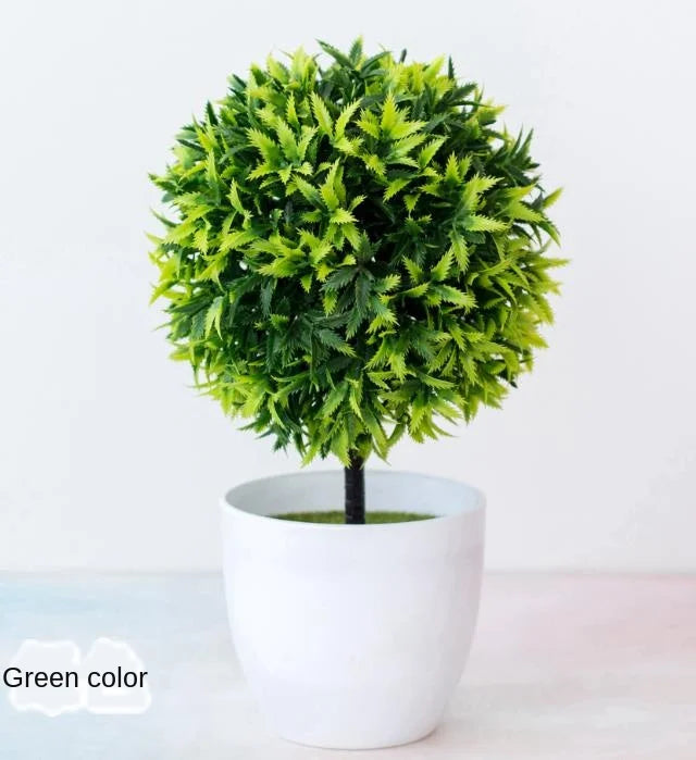 Mini-Bonsai-Pflanzgefäße für drinnen