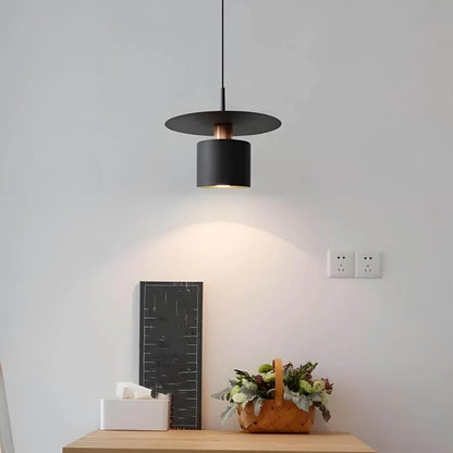 Elegant Drop Ceiling Light - Halri