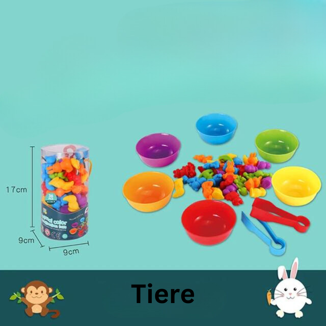 Pädagogisches Sortierspielzeug-Set für Kinder