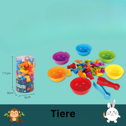 Pädagogisches Sortierspielzeug-Set für Kinder