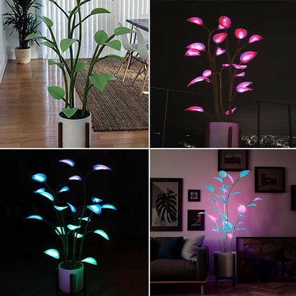Colorful LED Flower Pot Lamp - Halri