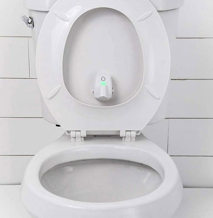 Motion Sensor Potty Training Nightlight for Boys