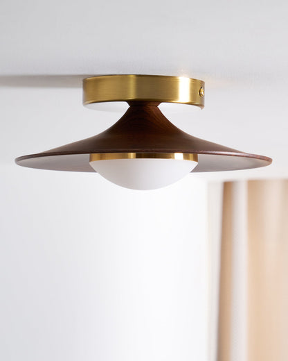 Airy Modern Ceiling Light