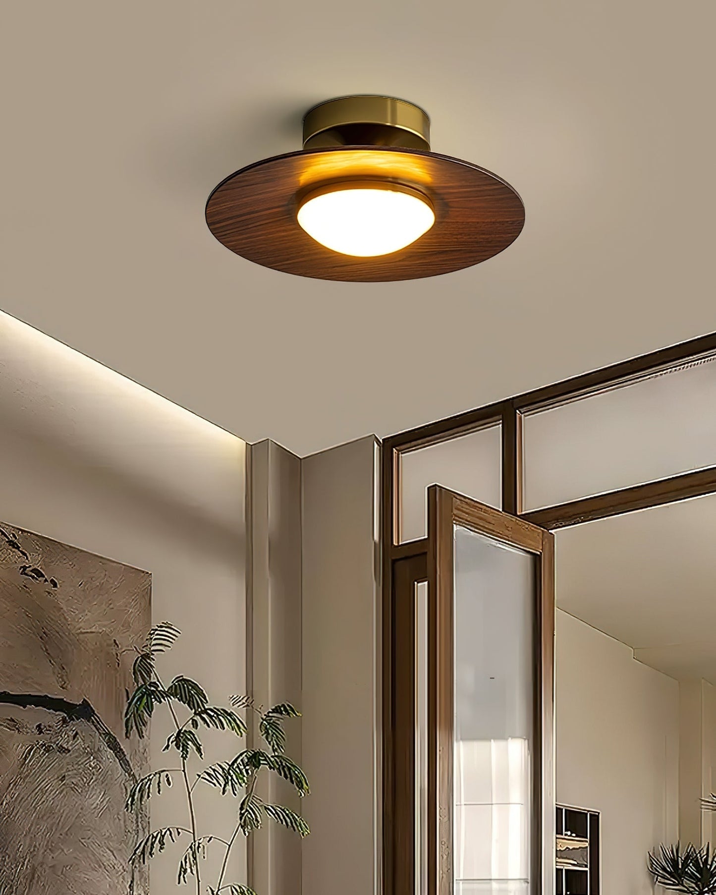 Airy Modern Ceiling Light