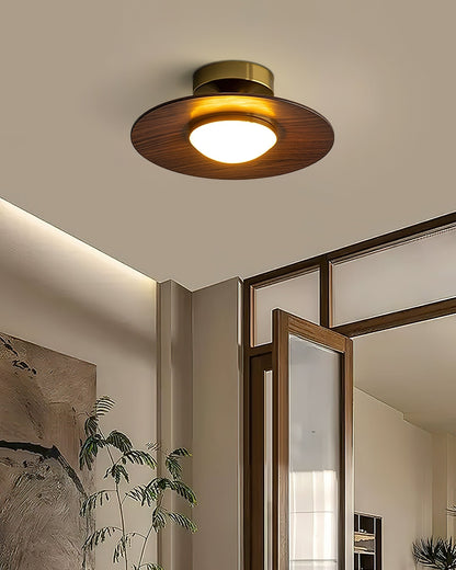 Airy Modern Ceiling Light