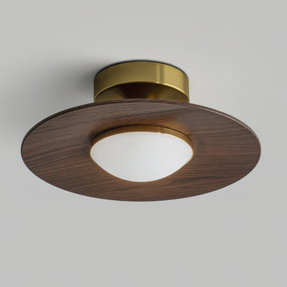 Airy Modern Ceiling Light
