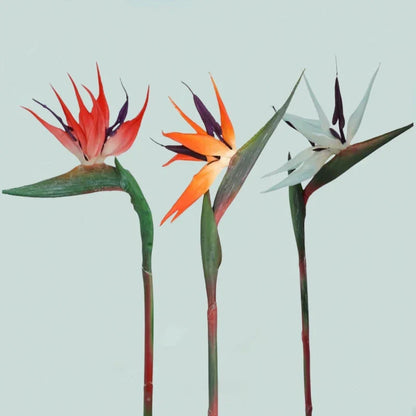 Künstliche Paradiesvogelblumen 3-teiliges Deko-Set