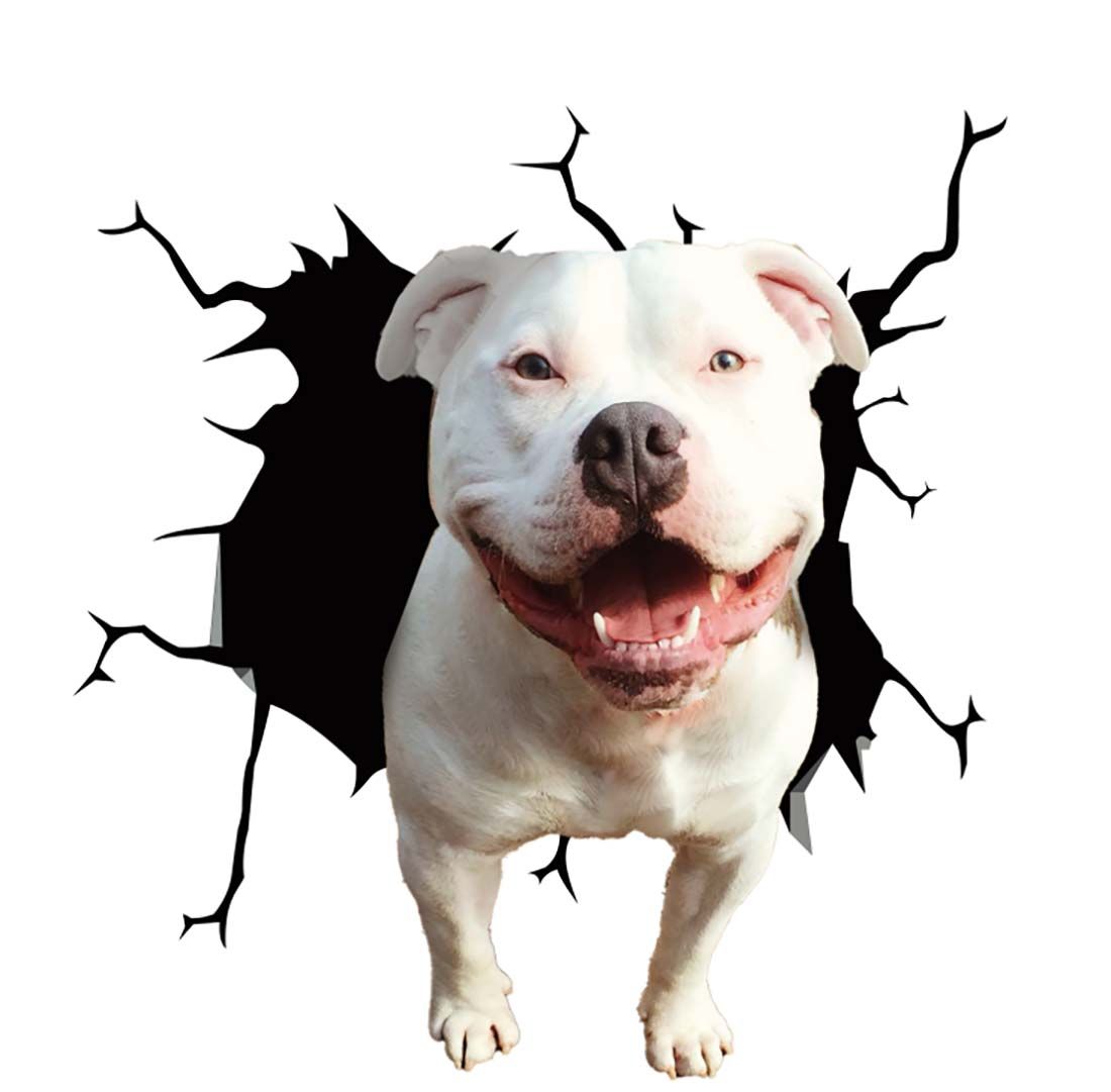 Fun 3D Dog Car Scratch Remover Sticker - Halri