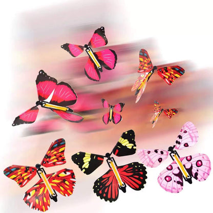 Romantic Valentine's Day Butterfly Picture Frame Gift