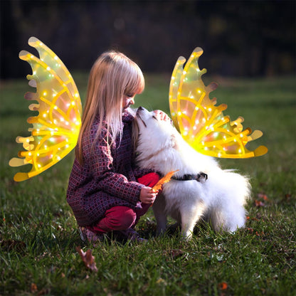 Sparkling LED Fairy Wing Costume for Kids Adults