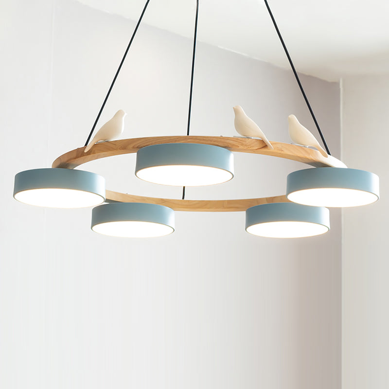 Beautiful Round Pendant LED Birdcage Light Fixture