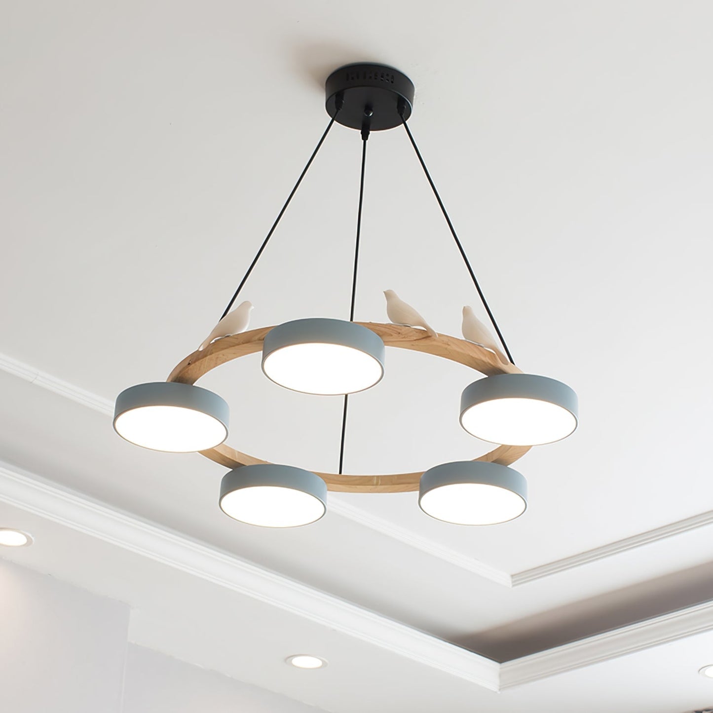 Beautiful Round Pendant LED Birdcage Light Fixture