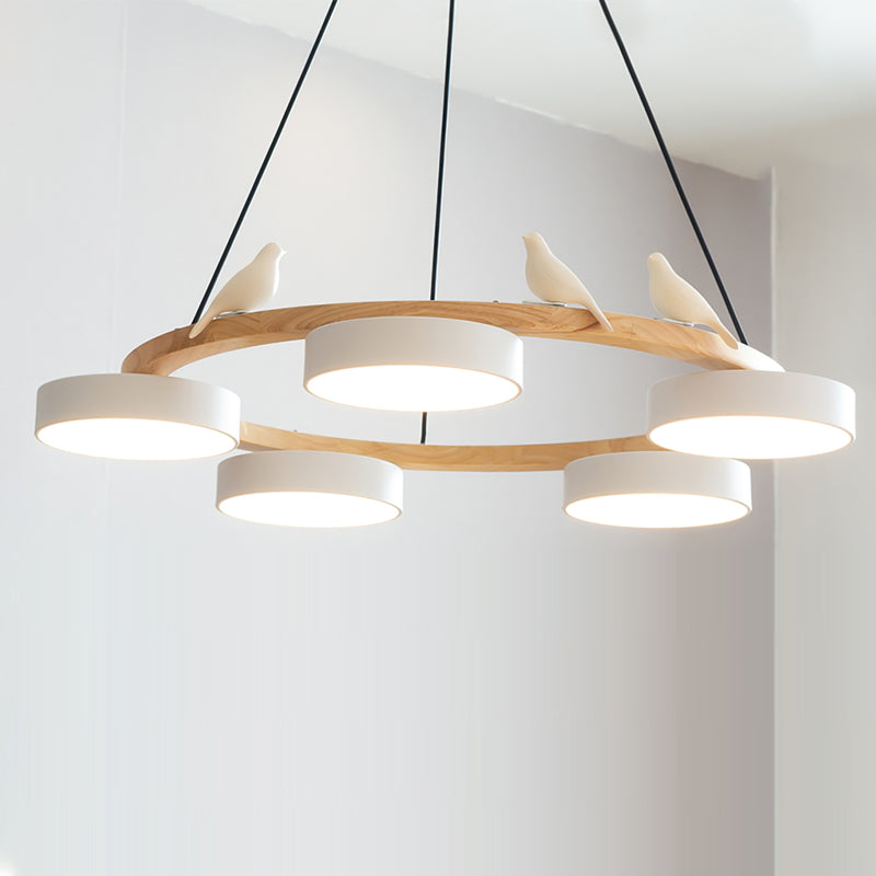 Beautiful Round Pendant LED Birdcage Light Fixture