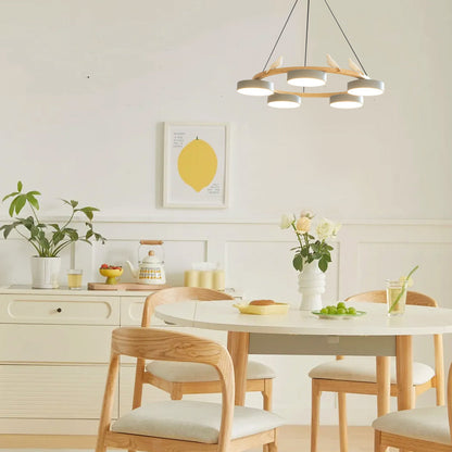 Beautiful Round Pendant LED Birdcage Light Fixture