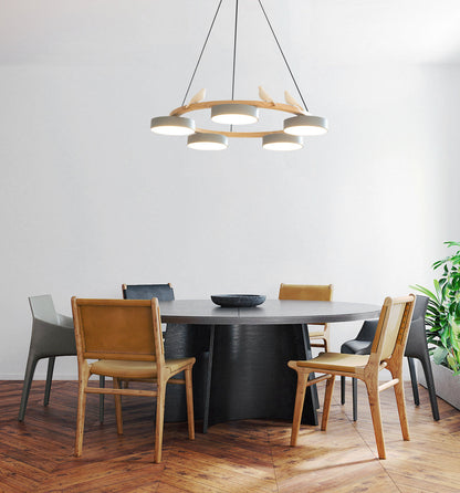 Beautiful Round Pendant LED Birdcage Light Fixture