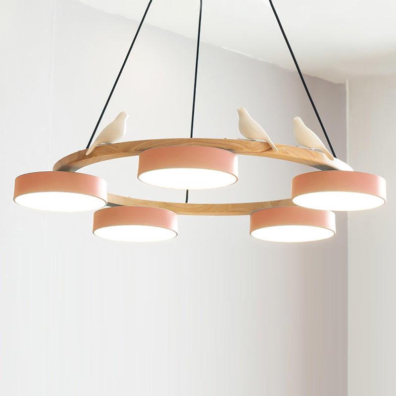 Beautiful Round Pendant LED Birdcage Light Fixture