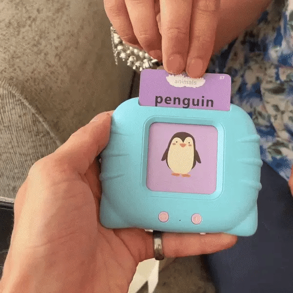 Colorful Educational Flashcards For Children