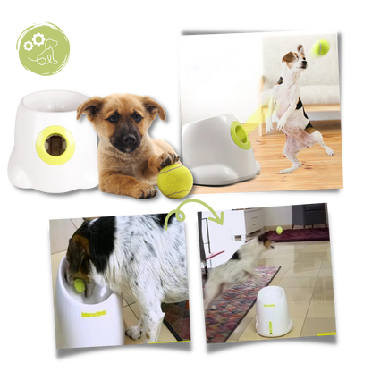 Fun Dog Ball Launcher Toy - Automatic Pet Thrower