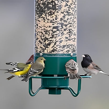 Wild Bird Friendly Feeder Cage